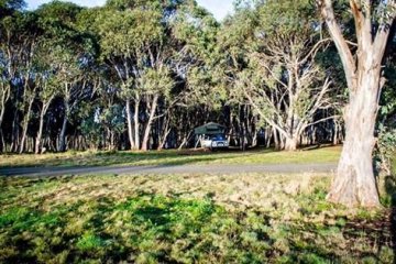 Australia (Kosciuszko National Park)